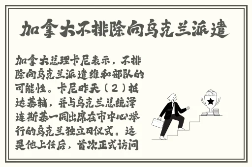原神申鹤狂飙